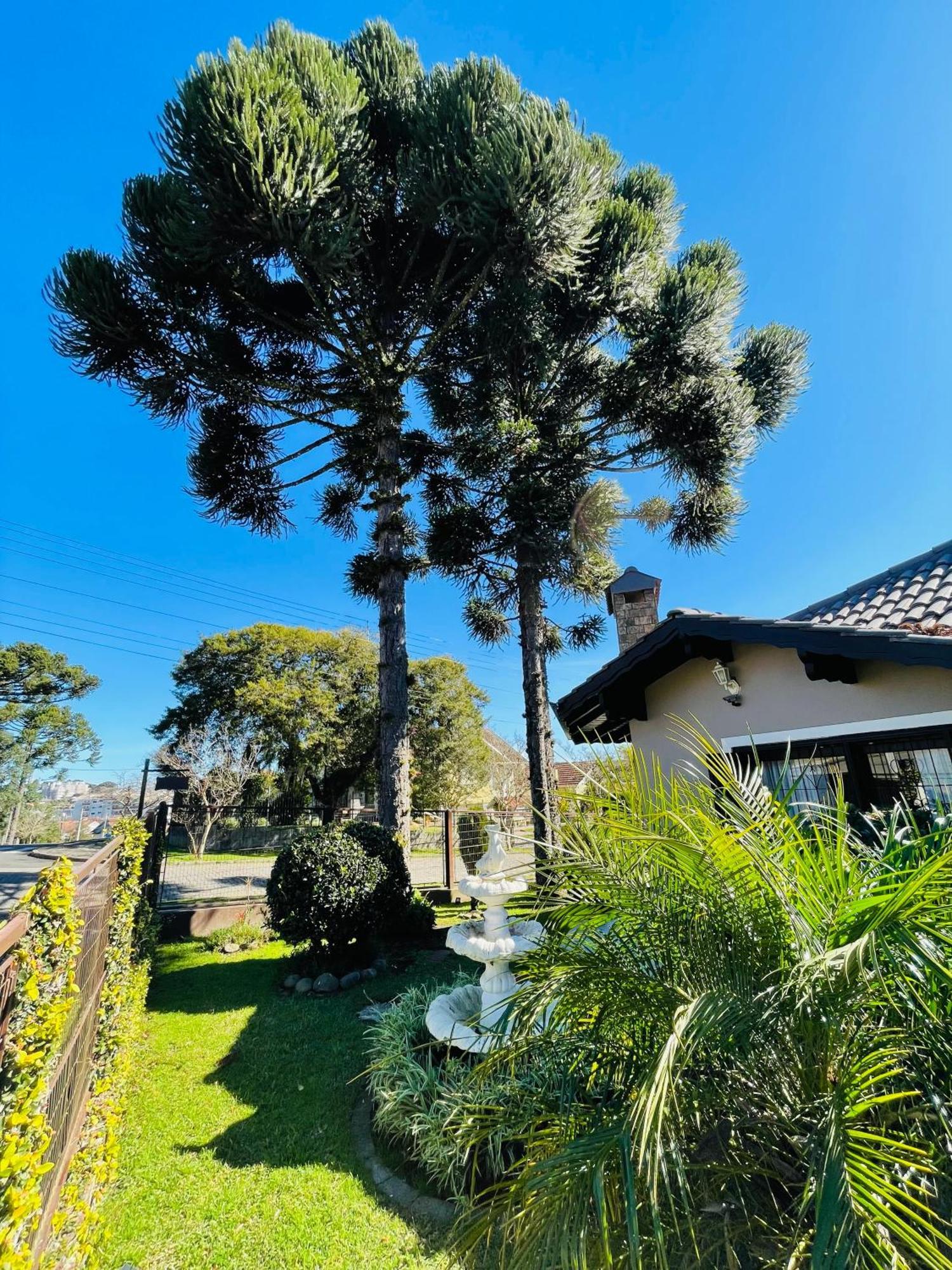 מלון קנלה Residencial Pine House מראה חיצוני תמונה